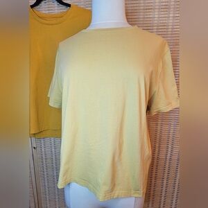 Size Large Everlane 100% Organic Cotton Soft T Shirt in muted Yellow